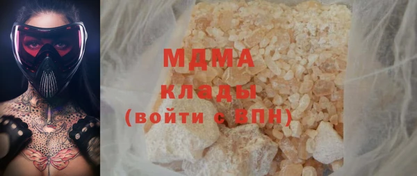 гашик Алексин