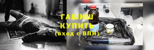 гашик Алексин