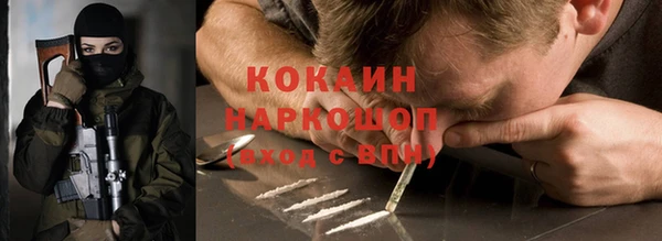 гашик Алексин