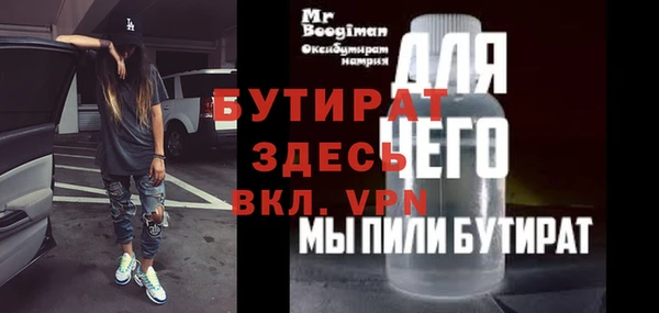 гашик Алексин