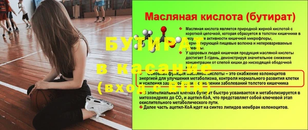 гашик Алексин