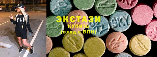гашик Алексин