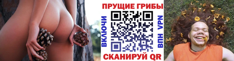 Галлюциногенные грибы прущие грибы  Анива 
